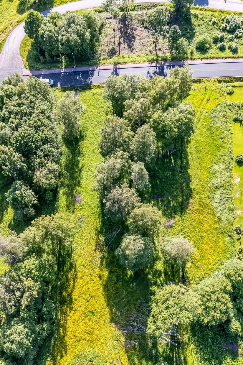 Gård/Skog, efter Faluvägen, Gärdebyn, Rättvik
