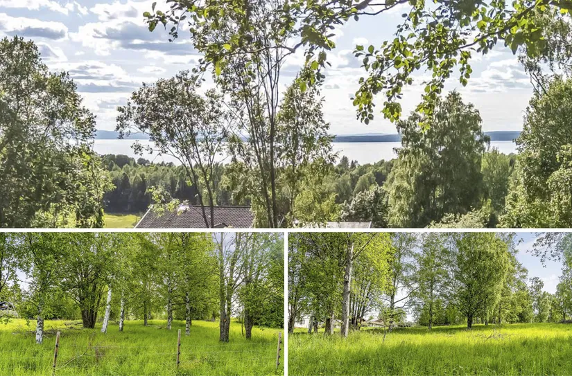 Gård/Skog, efter Faluvägen, Gärdebyn, Rättvik