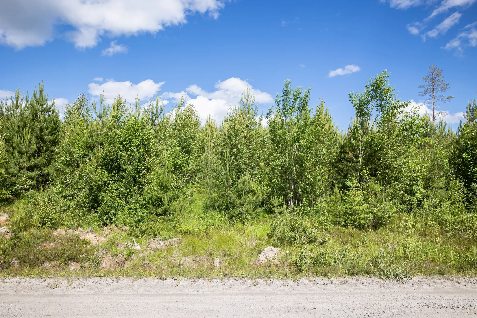 Gård/Skog, BOLLNÄS ARBRÅ KYRKBY 13:31, Arbrå, Bollnäs