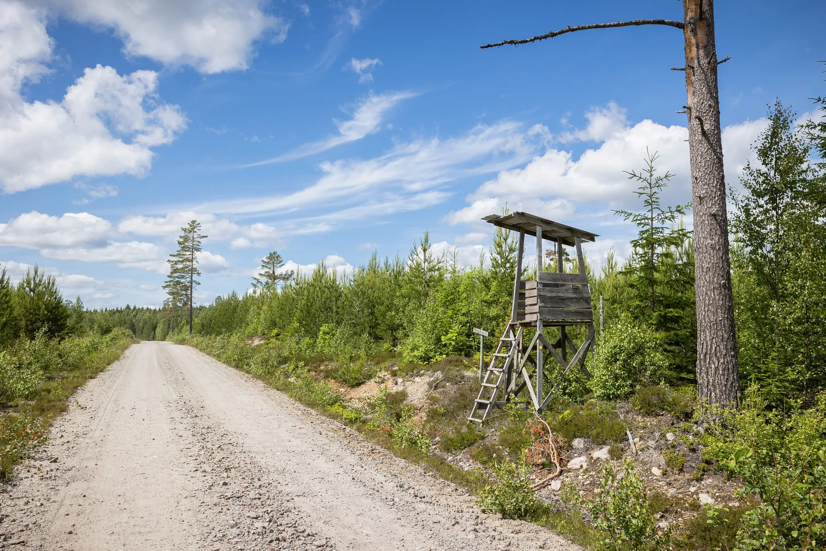 Gård/Skog, BOLLNÄS ARBRÅ KYRKBY 13:31, Arbrå, Bollnäs