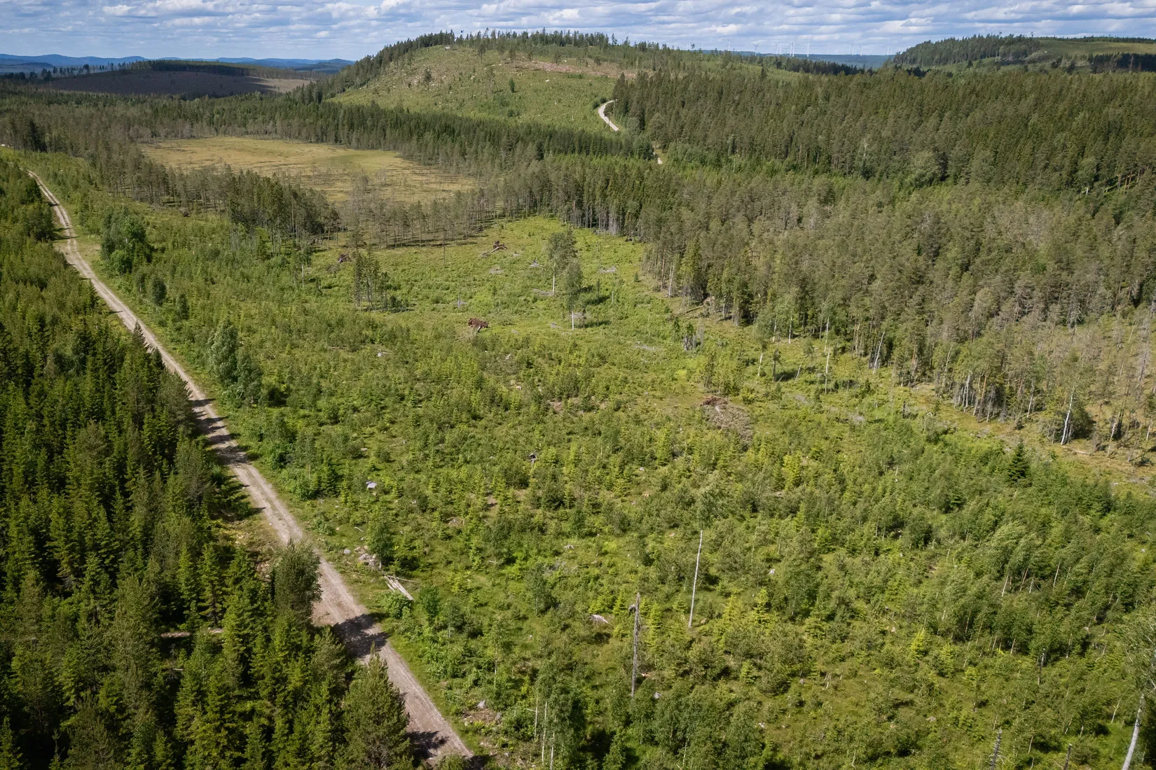 Gård/Skog, BOLLNÄS ARBRÅ KYRKBY 13:31, Arbrå, Bollnäs