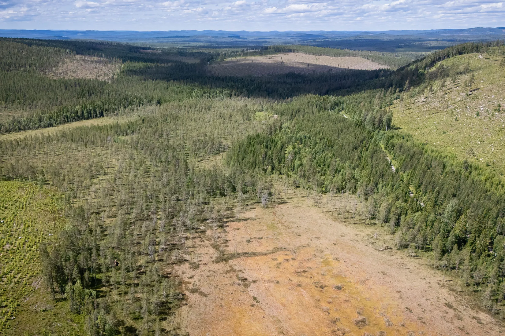 Gård/Skog, BOLLNÄS ARBRÅ KYRKBY 13:31, Arbrå, Bollnäs