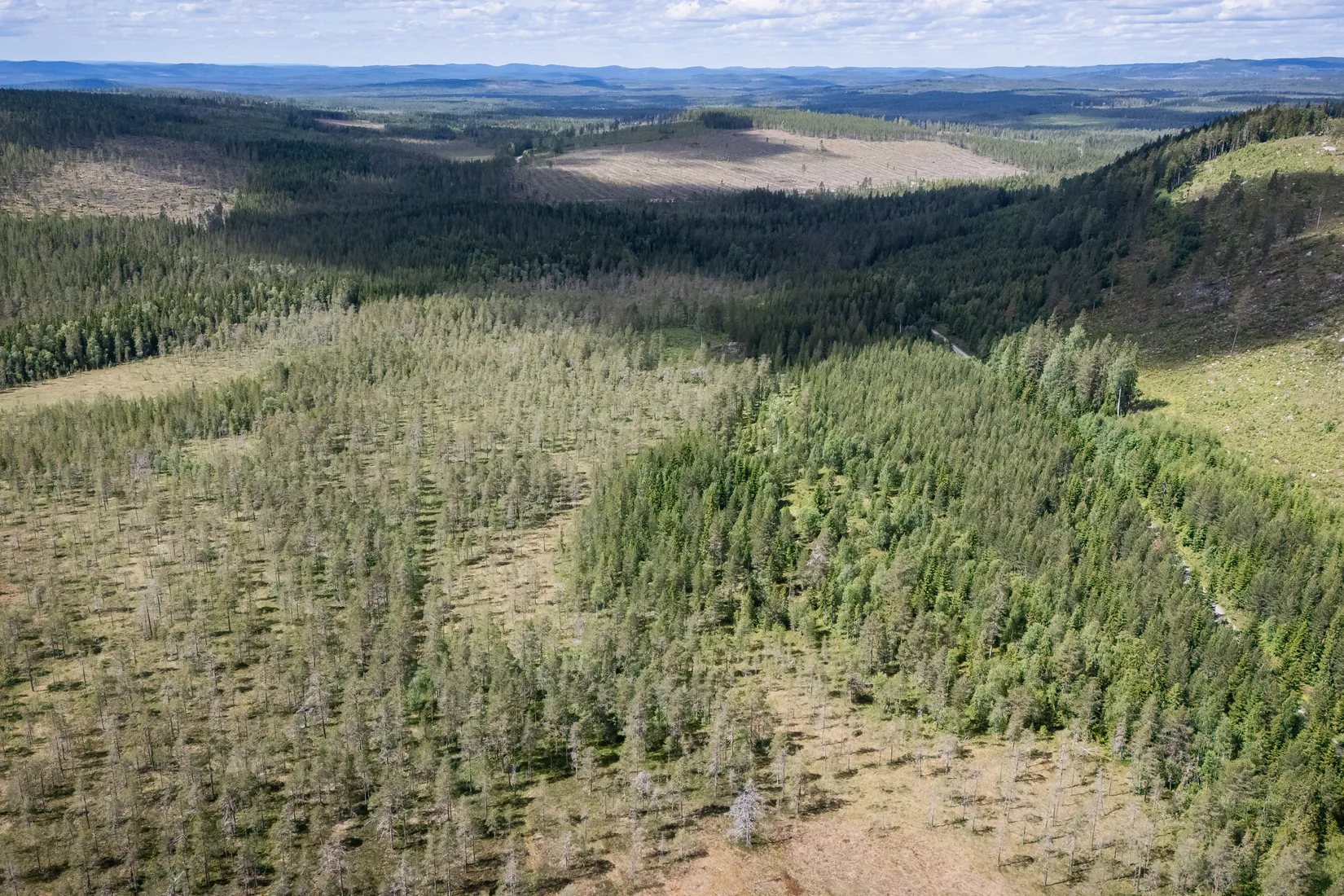 Gård/Skog, BOLLNÄS ARBRÅ KYRKBY 13:31, Arbrå, Bollnäs