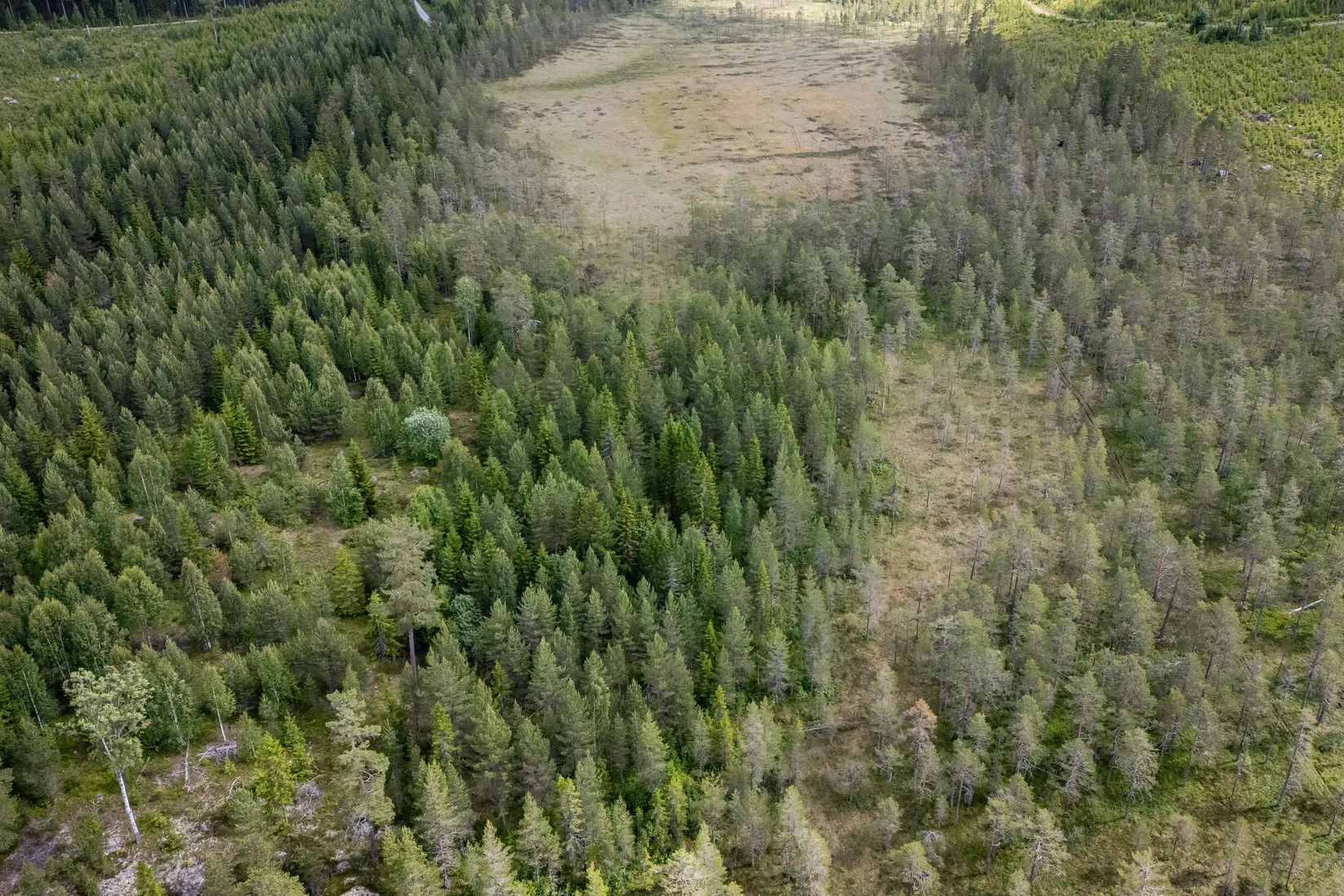 Gård/Skog, BOLLNÄS ARBRÅ KYRKBY 13:31, Arbrå, Bollnäs