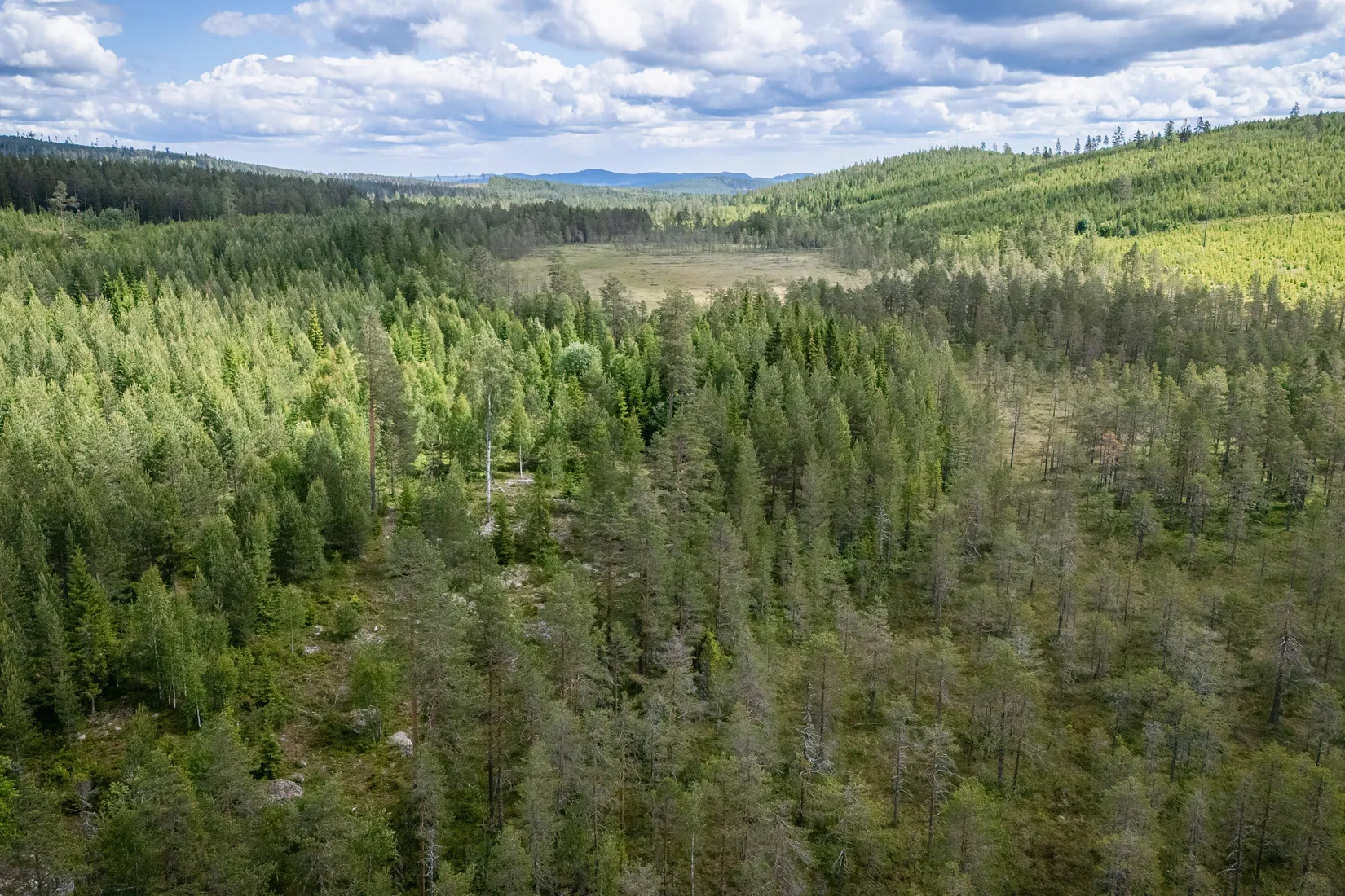 Gård/Skog, BOLLNÄS ARBRÅ KYRKBY 13:31, Arbrå, Bollnäs