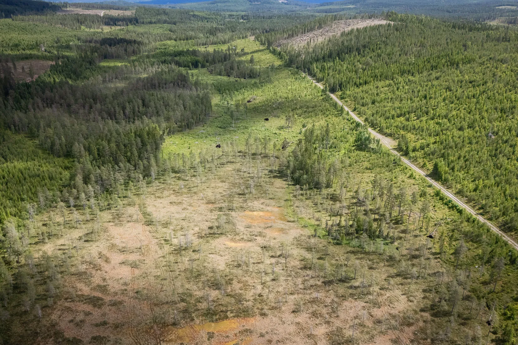 Gård/Skog, BOLLNÄS ARBRÅ KYRKBY 13:31, Arbrå, Bollnäs