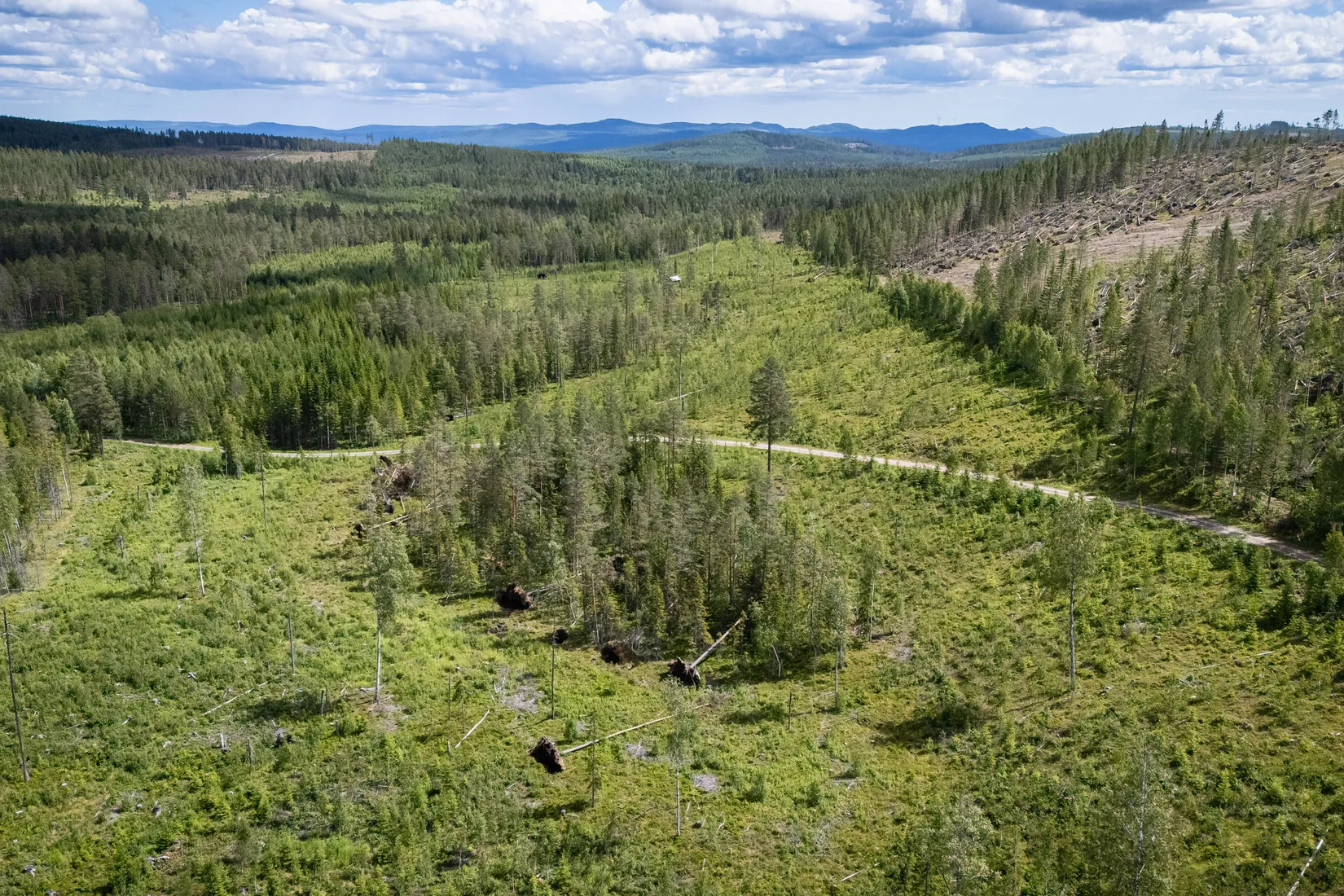 Gård/Skog, BOLLNÄS ARBRÅ KYRKBY 13:31, Arbrå, Bollnäs
