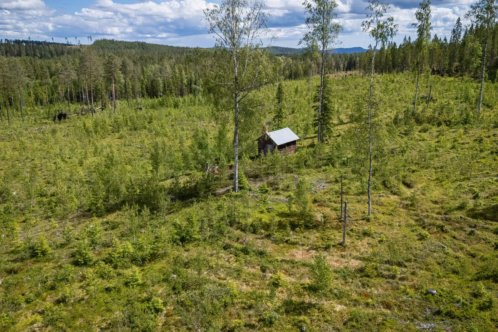 Gård/Skog, BOLLNÄS ARBRÅ KYRKBY 13:31, Arbrå, Bollnäs