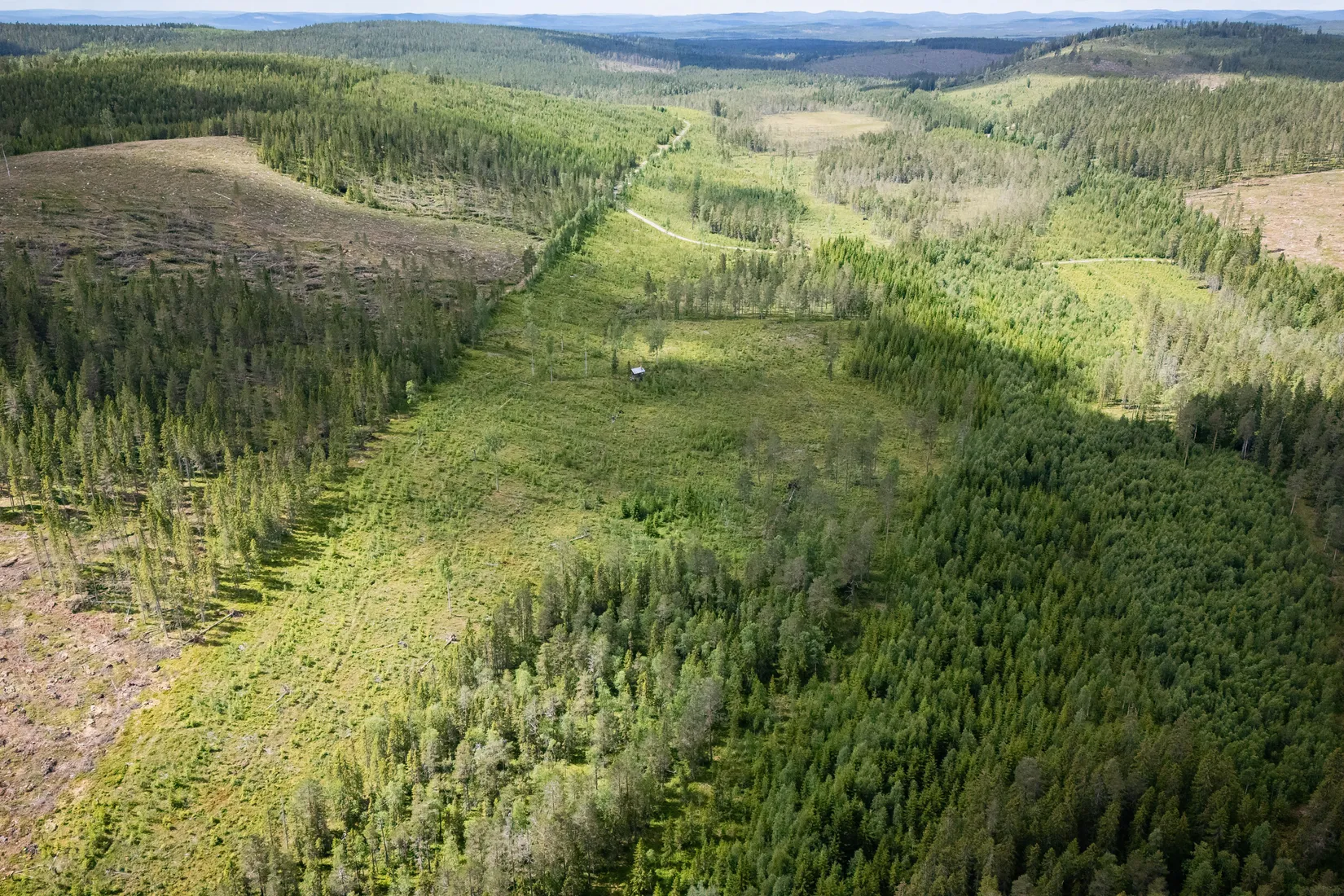 Gård/Skog, BOLLNÄS ARBRÅ KYRKBY 13:31, Arbrå, Bollnäs