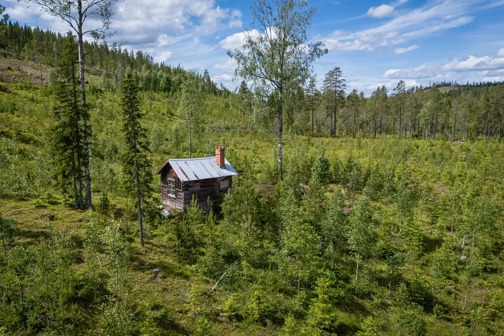 Gård/Skog, BOLLNÄS ARBRÅ KYRKBY 13:31, Arbrå, Bollnäs