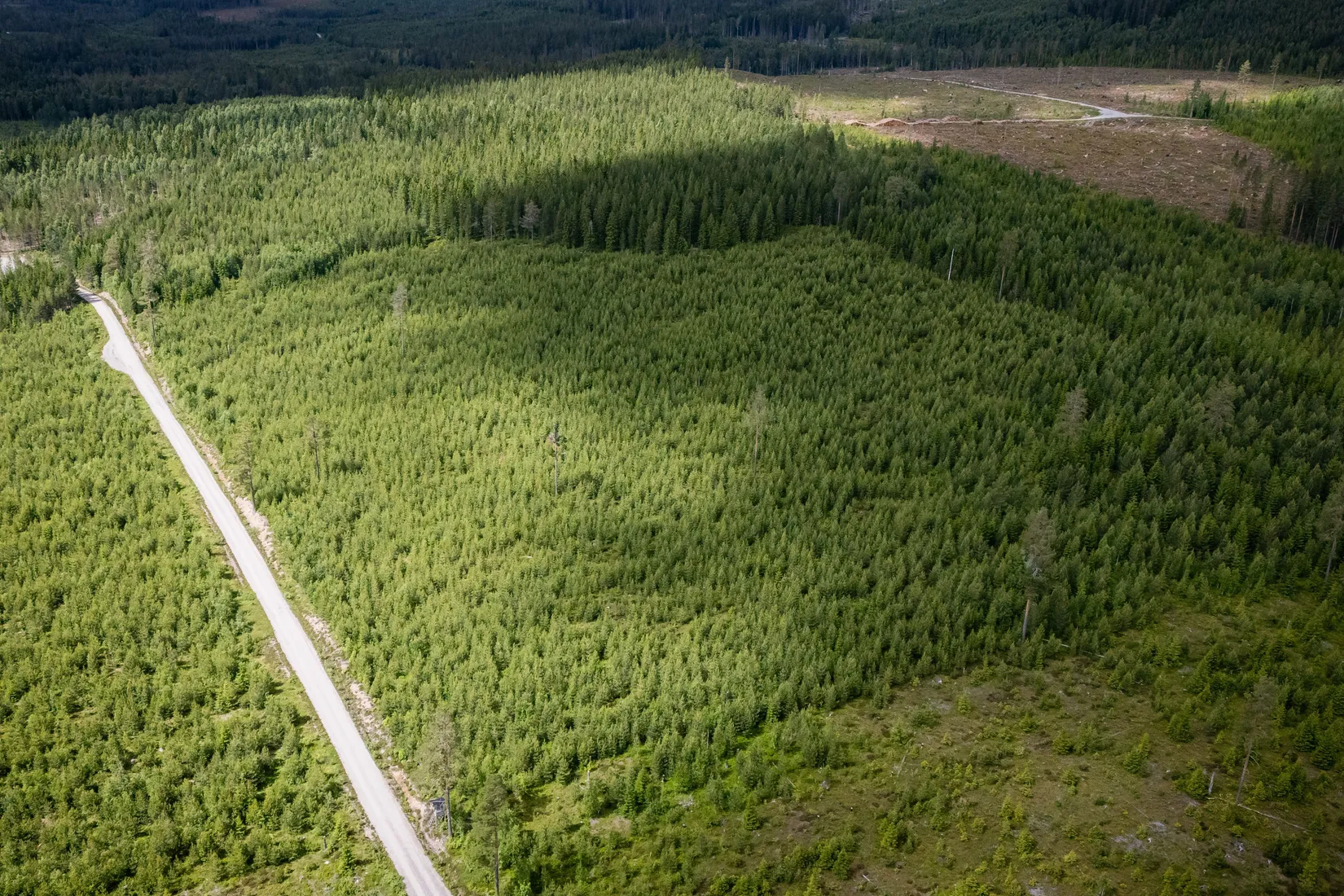 Gård/Skog, BOLLNÄS ARBRÅ KYRKBY 13:31, Arbrå, Bollnäs