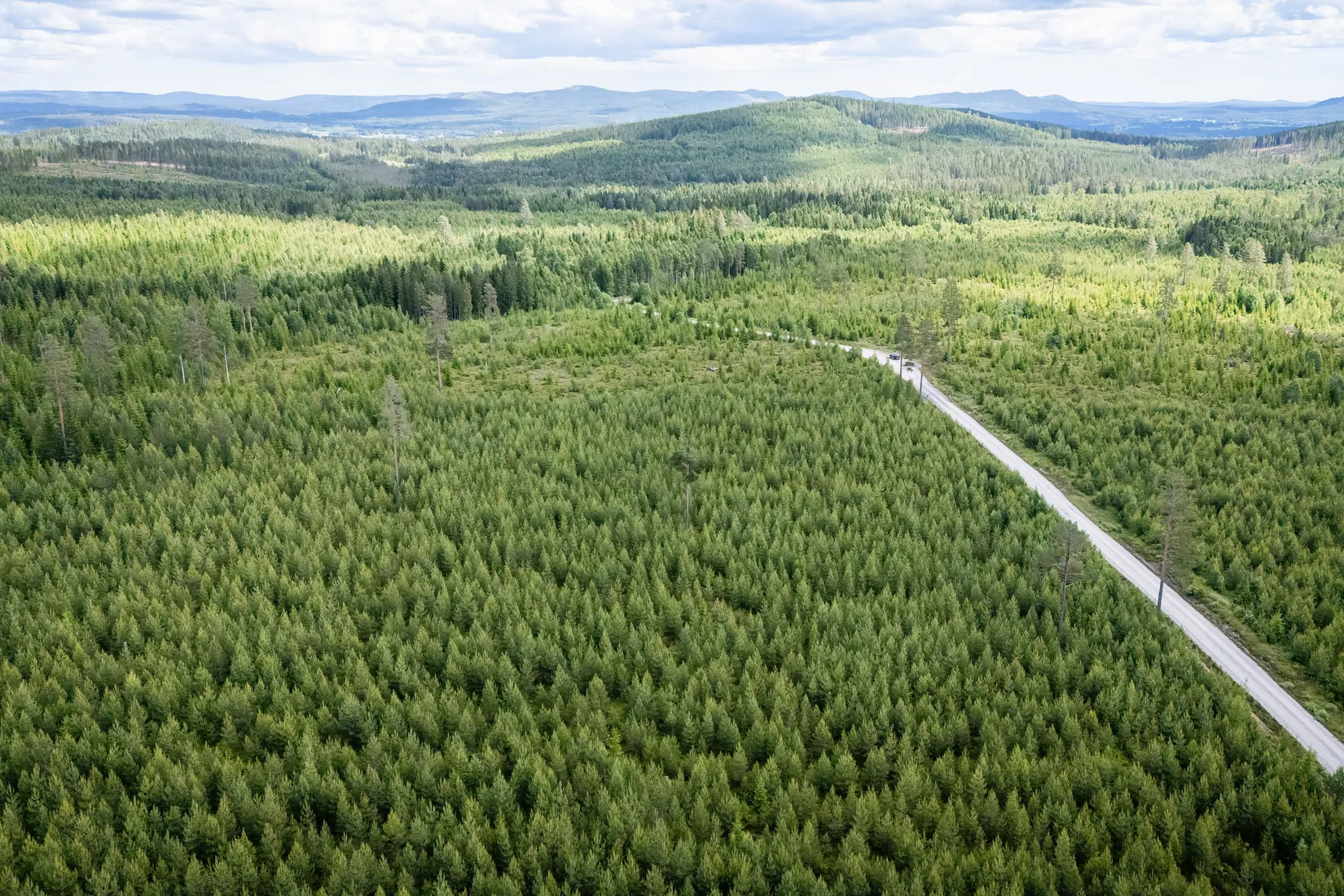 Gård/Skog, BOLLNÄS ARBRÅ KYRKBY 13:31, Arbrå, Bollnäs