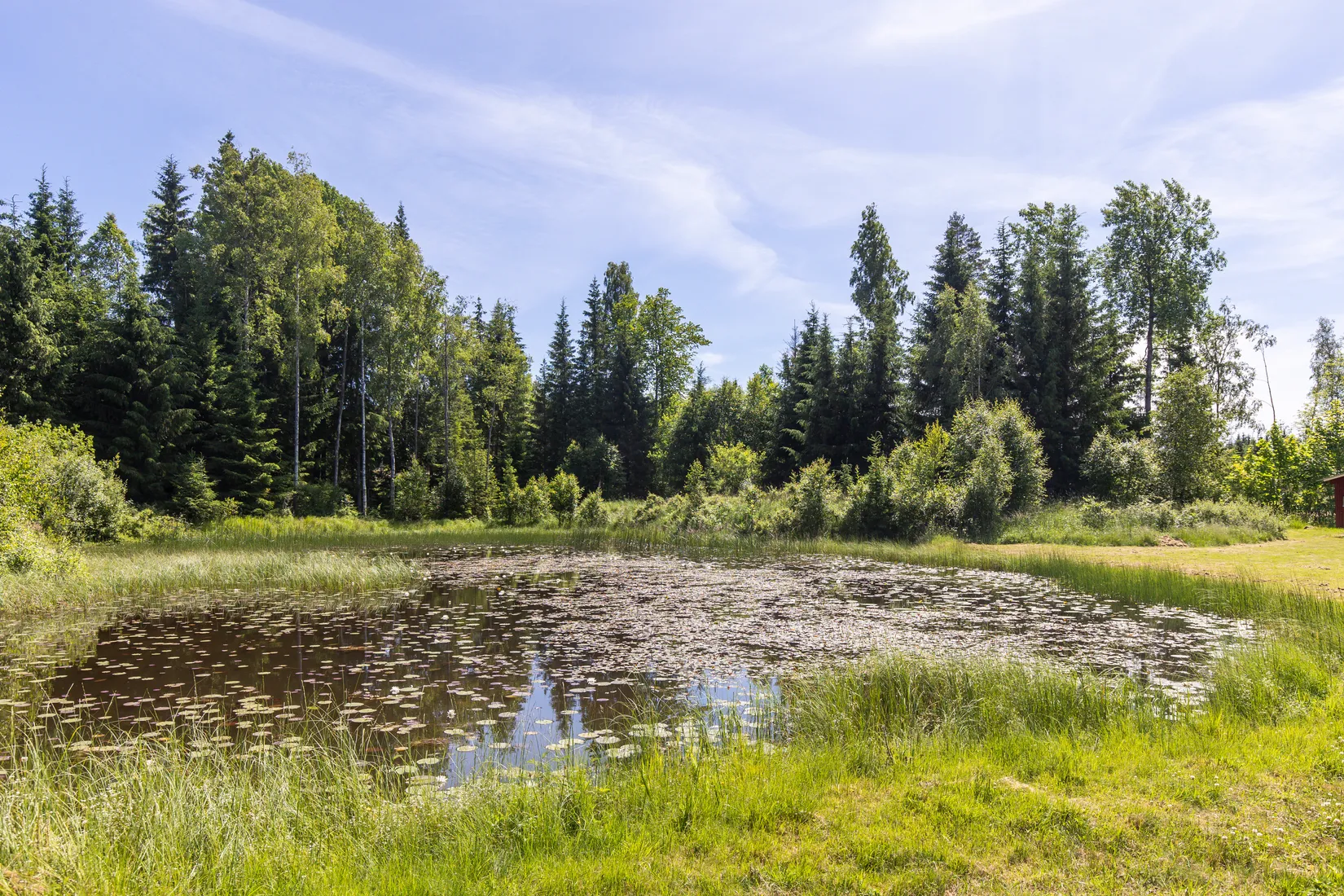 Gård/Skog, Hultängen, Björneborg, Kristinehamn