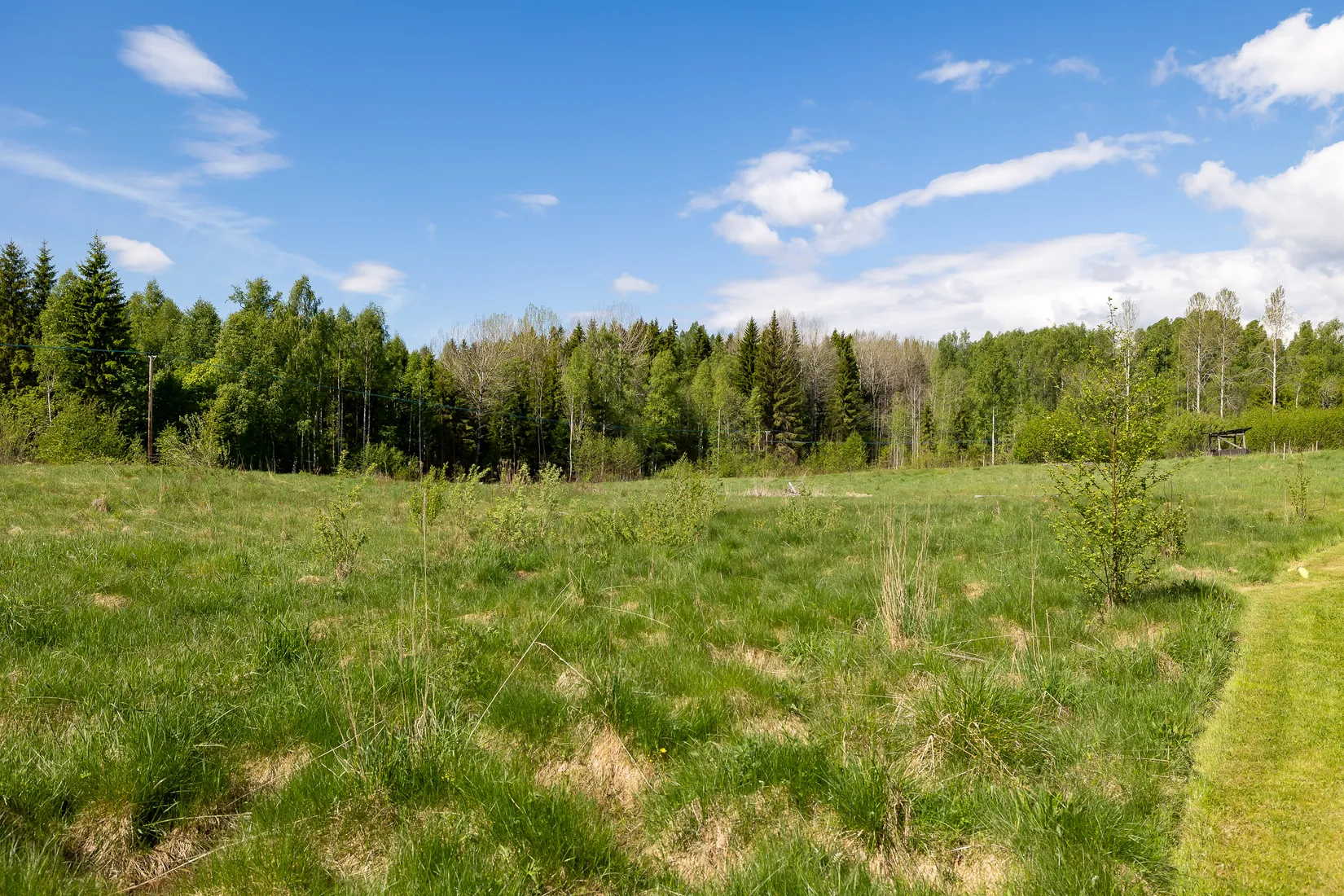 Gård/Skog, Kvarnabergsvägen 65, Gusselby, Lindesberg