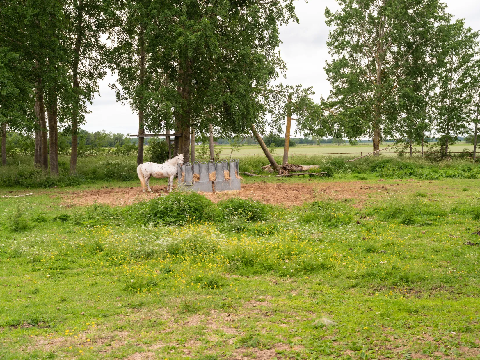 Gård/Skog, Ganthem Båtels 509, Ganthem, Gotland