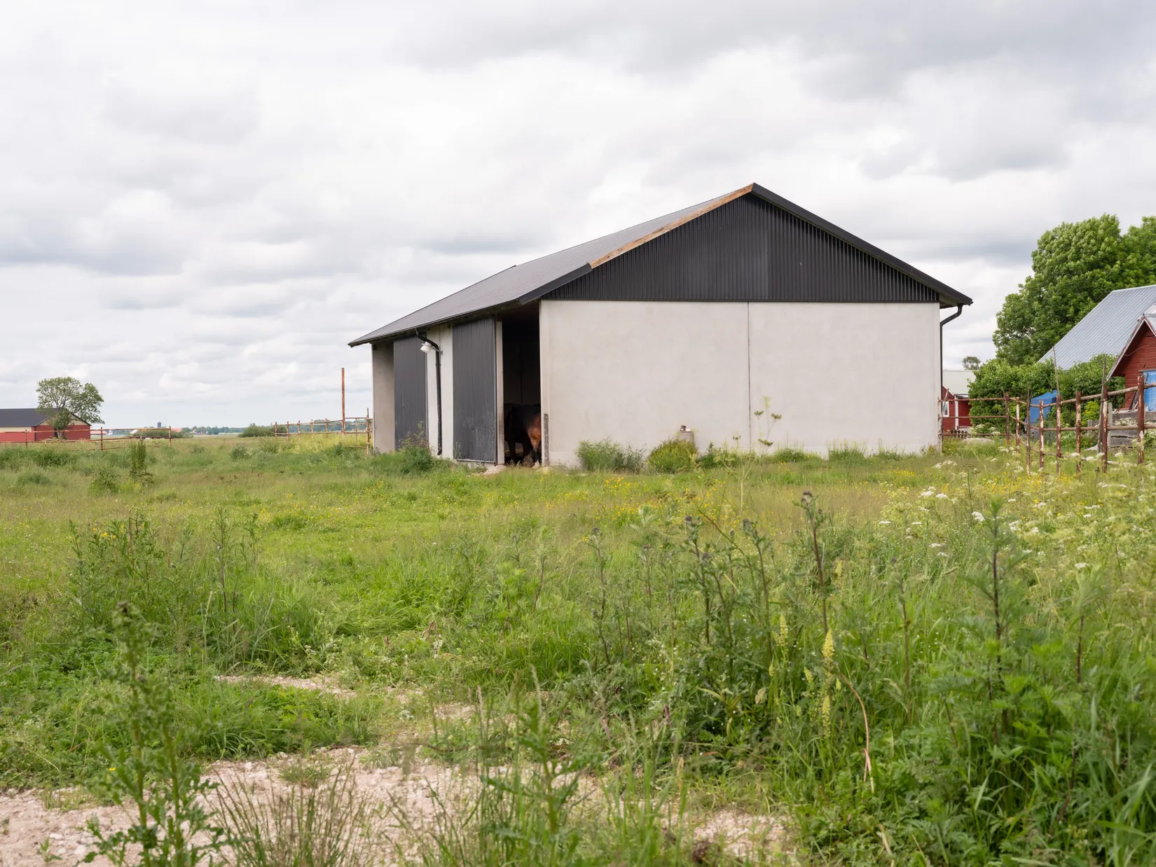 Gård/Skog, Ganthem Båtels 509, Ganthem, Gotland