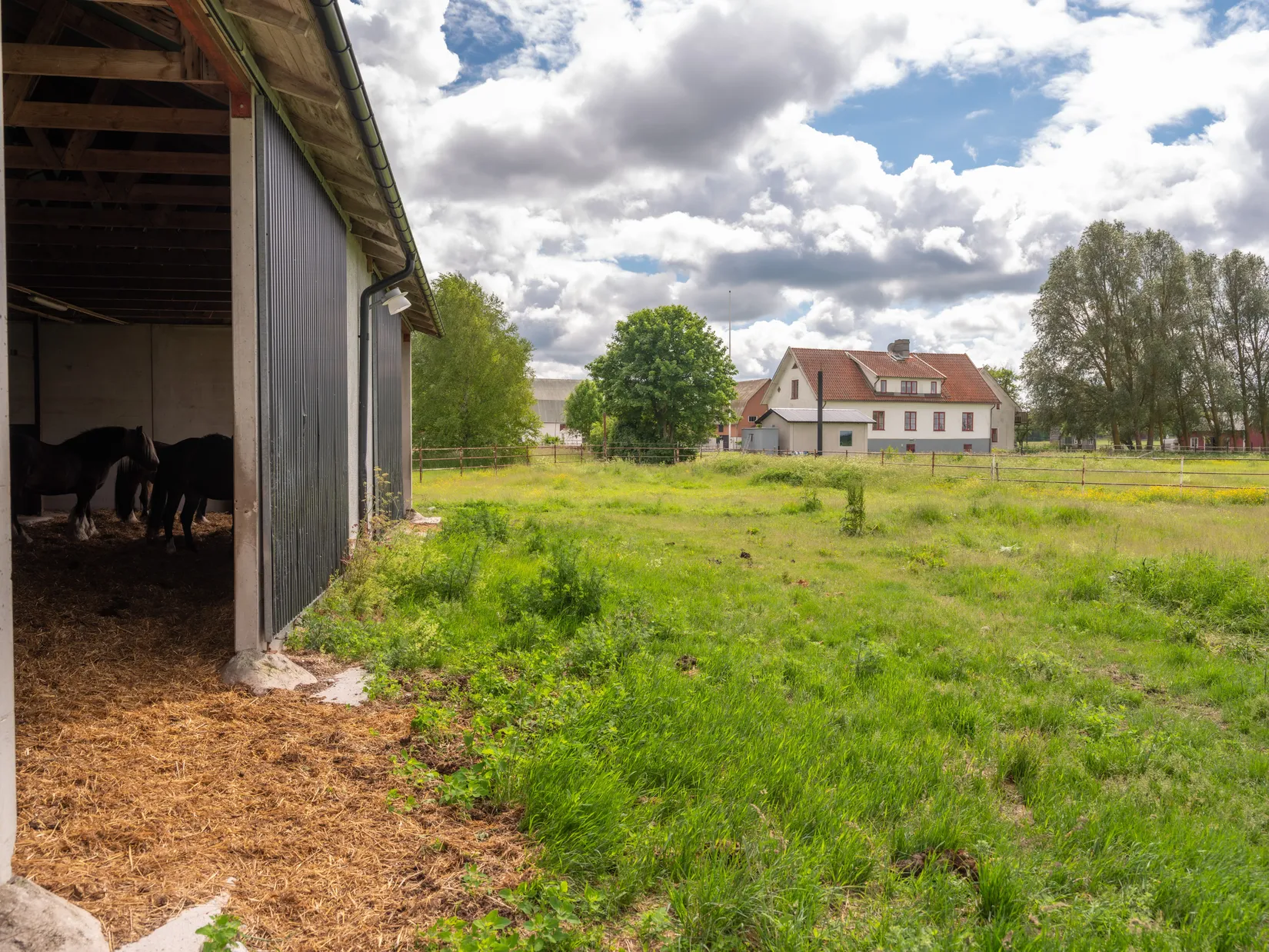 Gård/Skog, Ganthem Båtels 509, Ganthem, Gotland