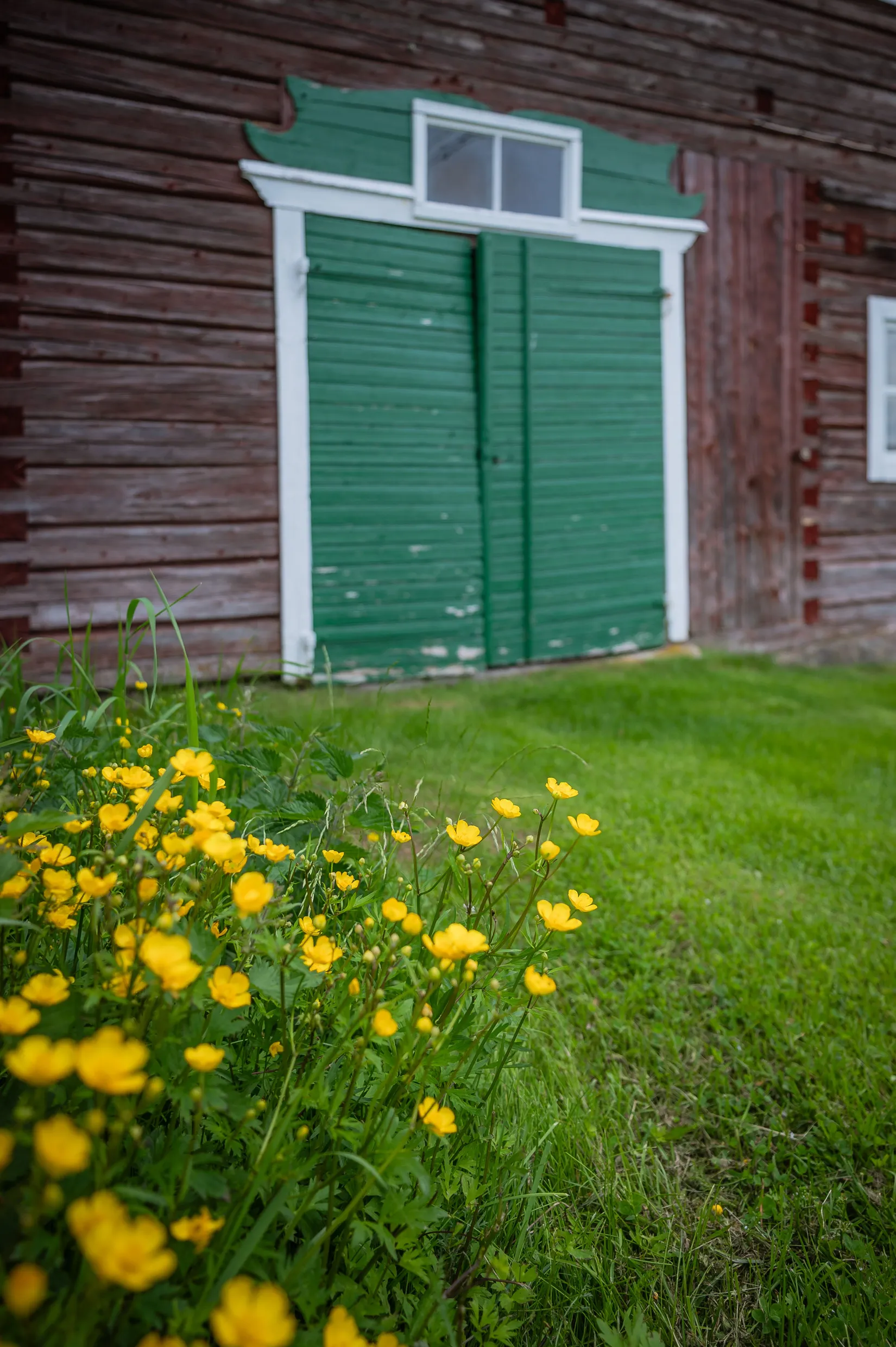 Gård/Skog, Kubbe 135, Kubbe, Örnsköldsvik