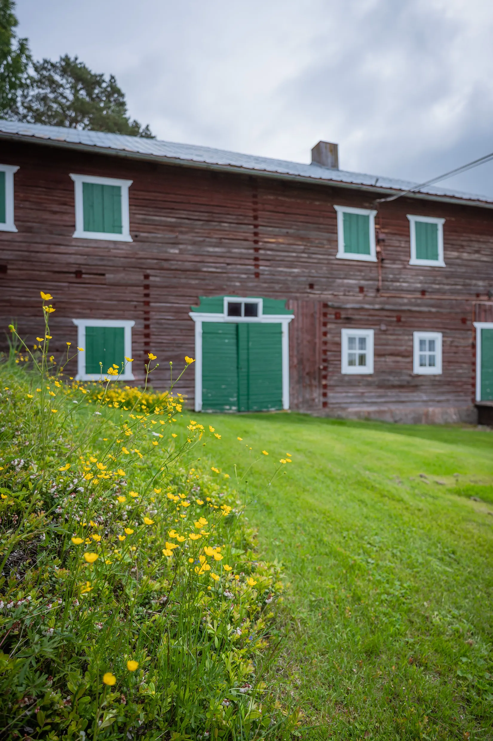 Gård/Skog, Kubbe 135, Kubbe, Örnsköldsvik