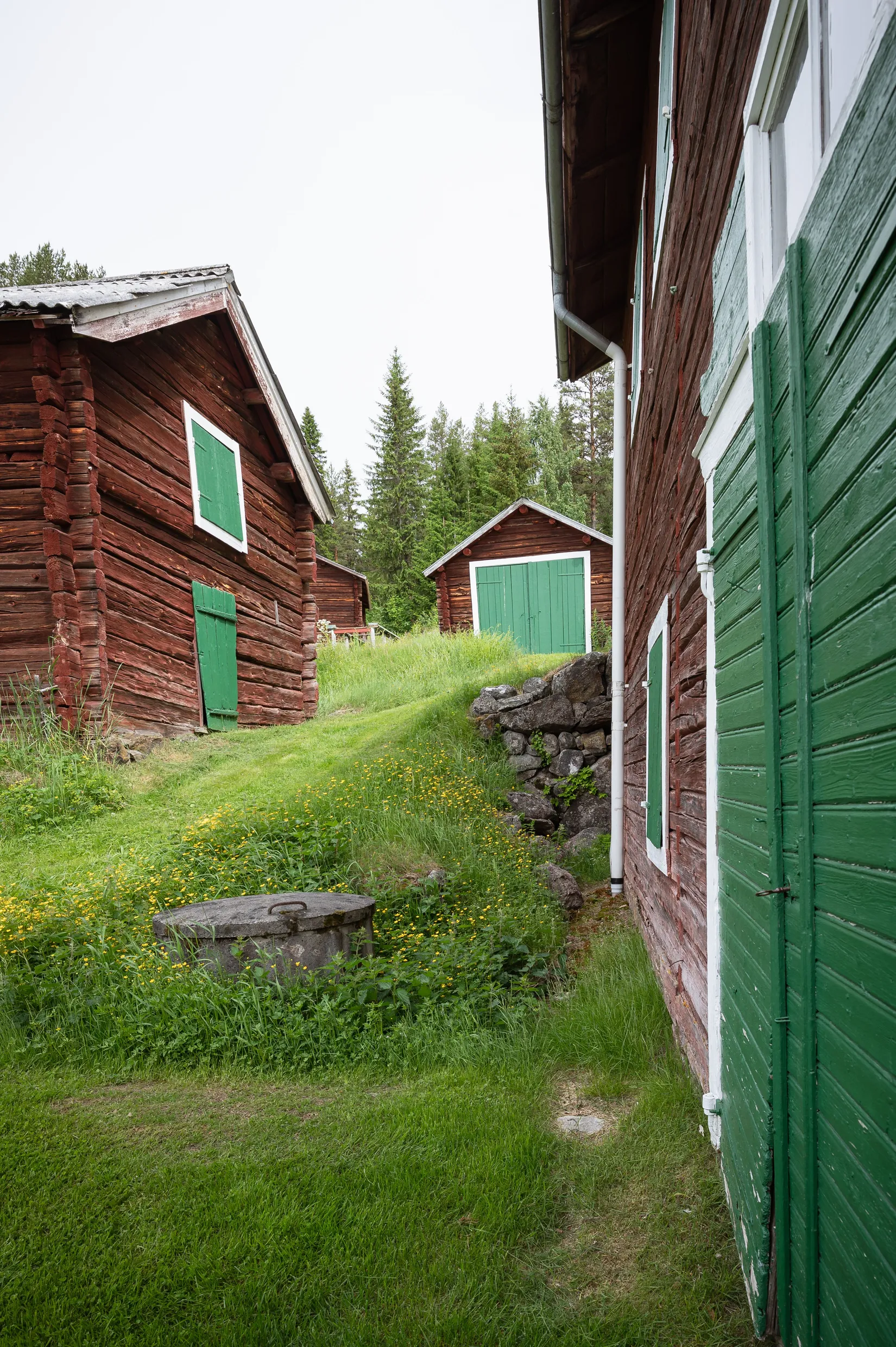 Gård/Skog, Kubbe 135, Kubbe, Örnsköldsvik