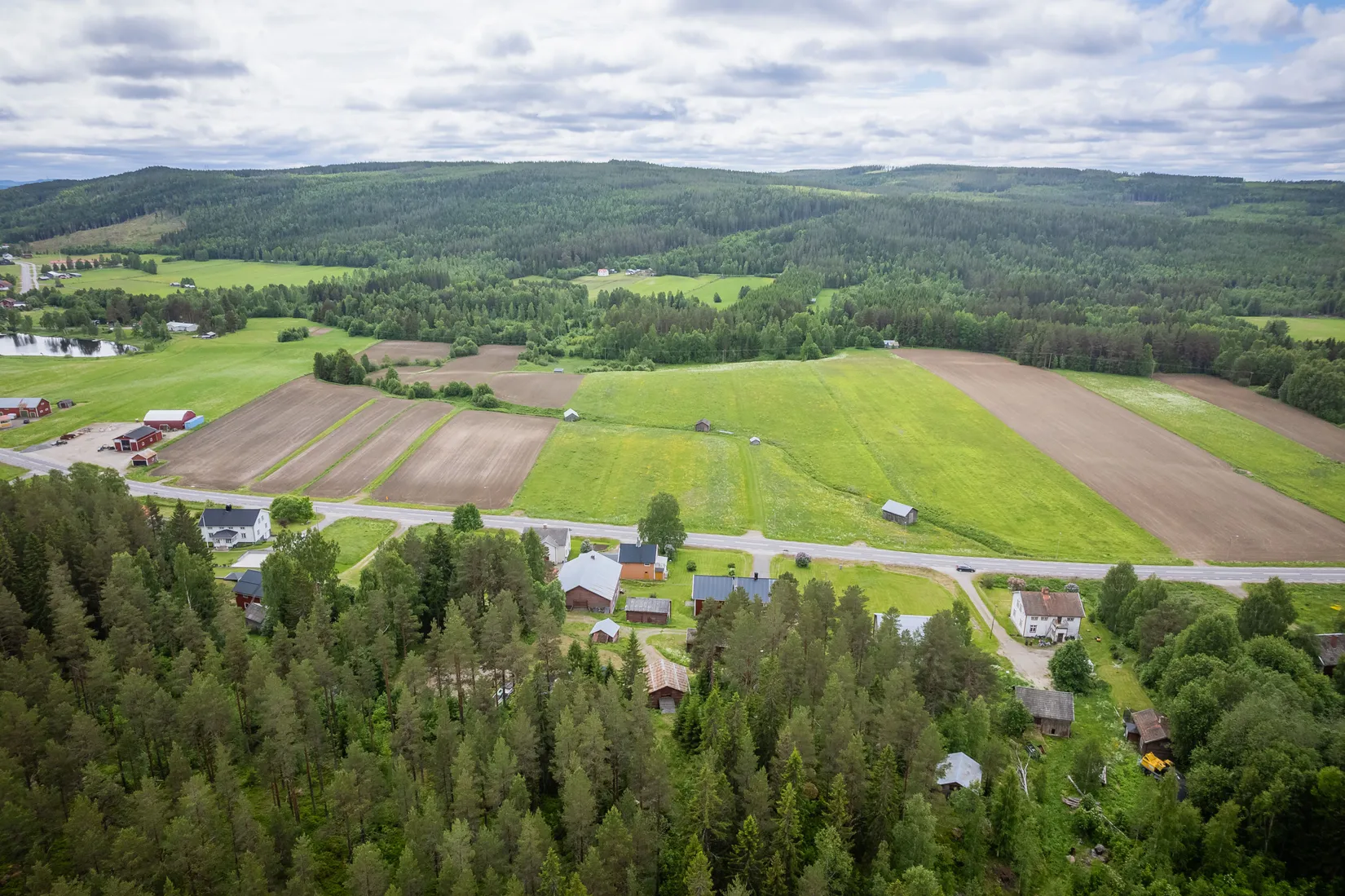 Gård/Skog, Kubbe 135, Kubbe, Örnsköldsvik