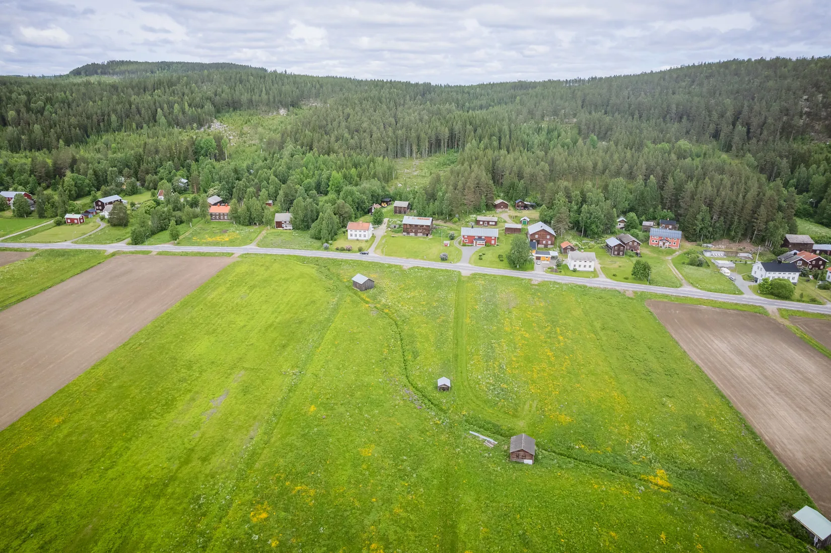 Gård/Skog, Kubbe 135, Kubbe, Örnsköldsvik