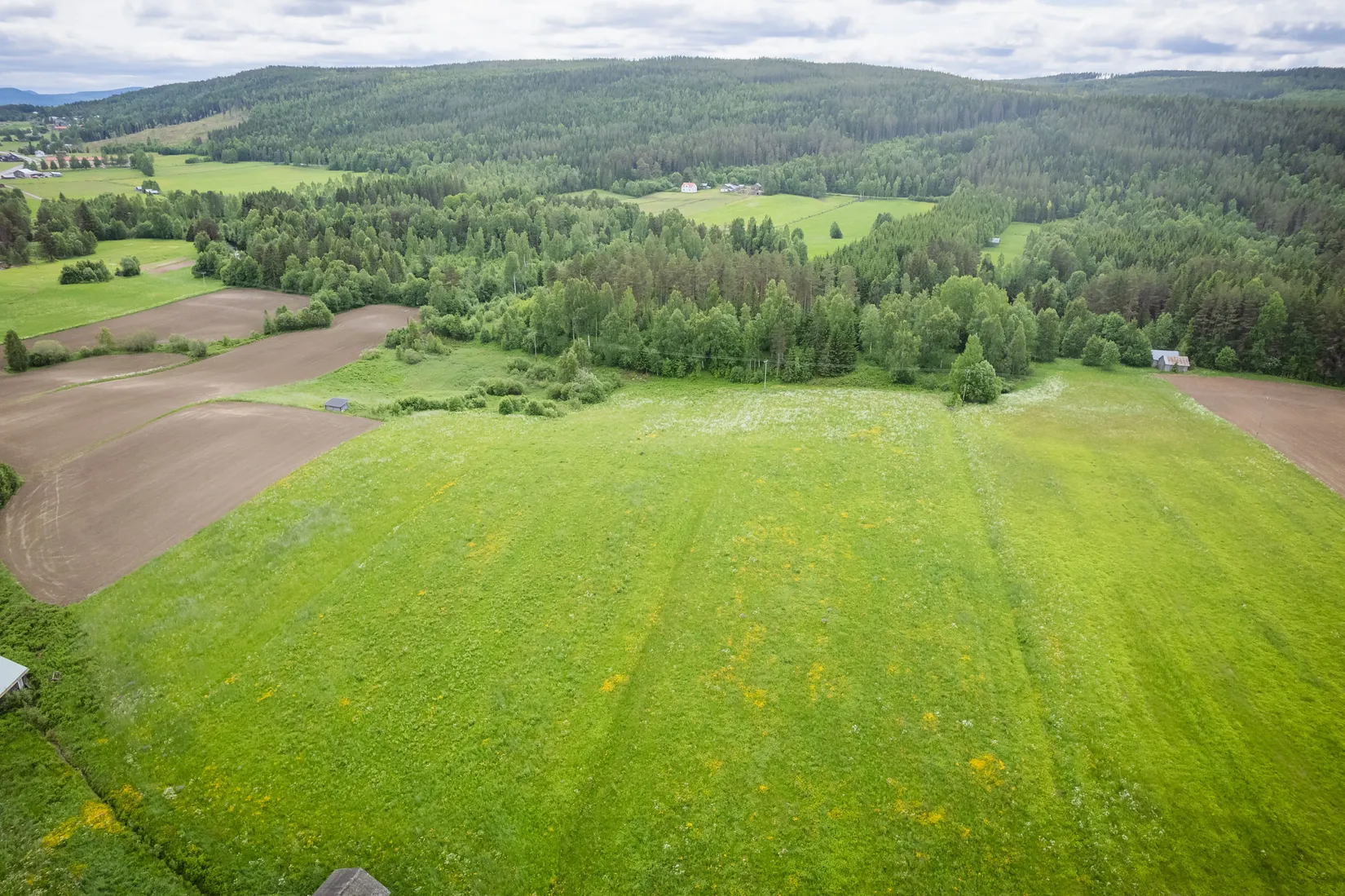 Gård/Skog, Kubbe 135, Kubbe, Örnsköldsvik
