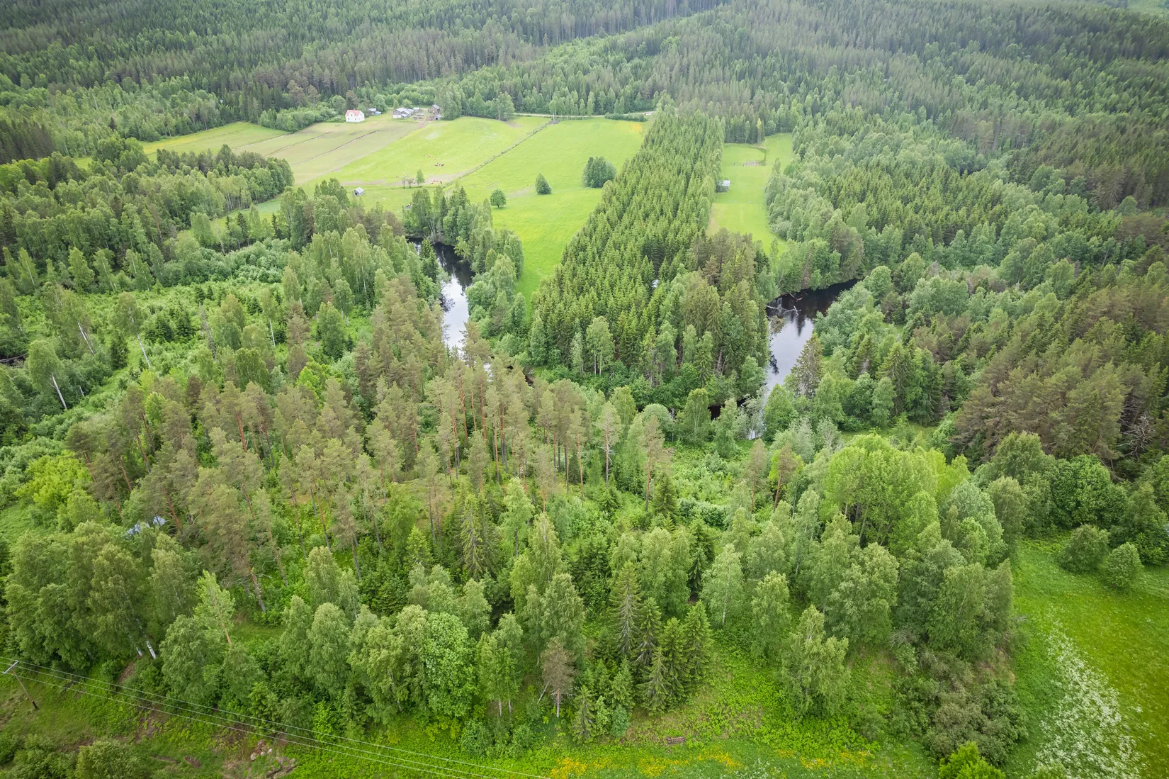 Gård/Skog, Kubbe 135, Kubbe, Örnsköldsvik