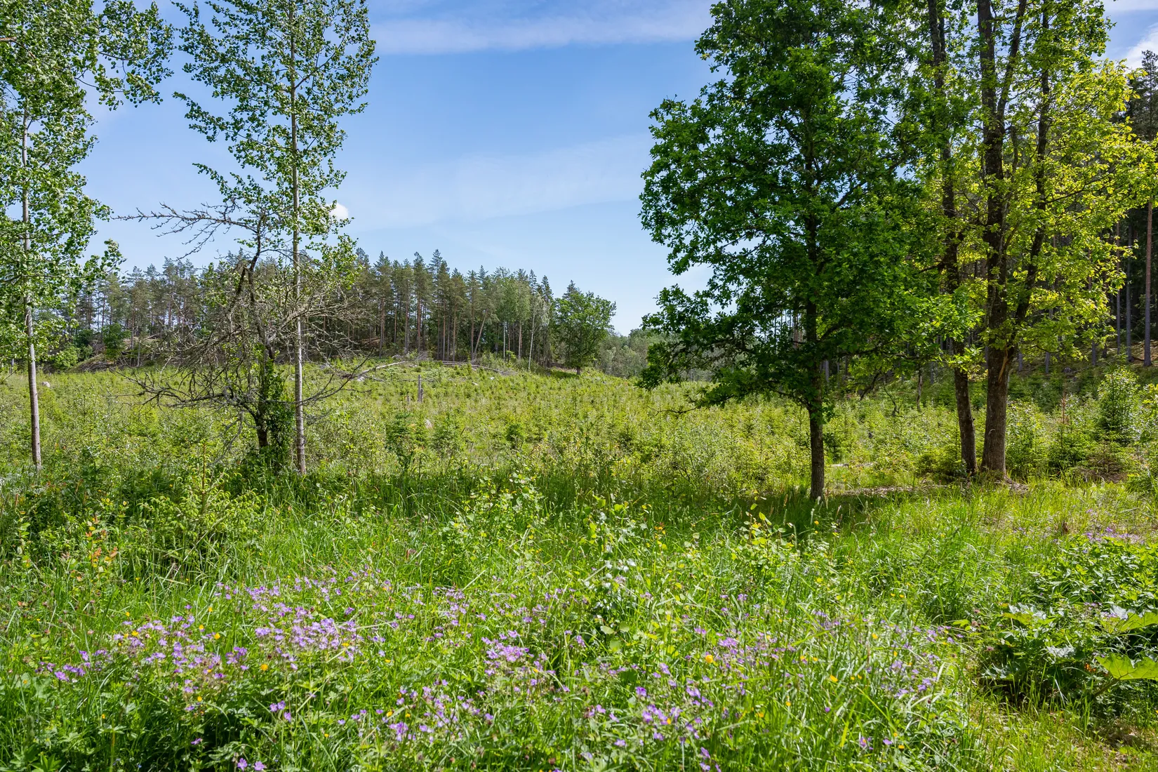 Fritidshus, Målstena Fredrikslund, Åtvidaberg