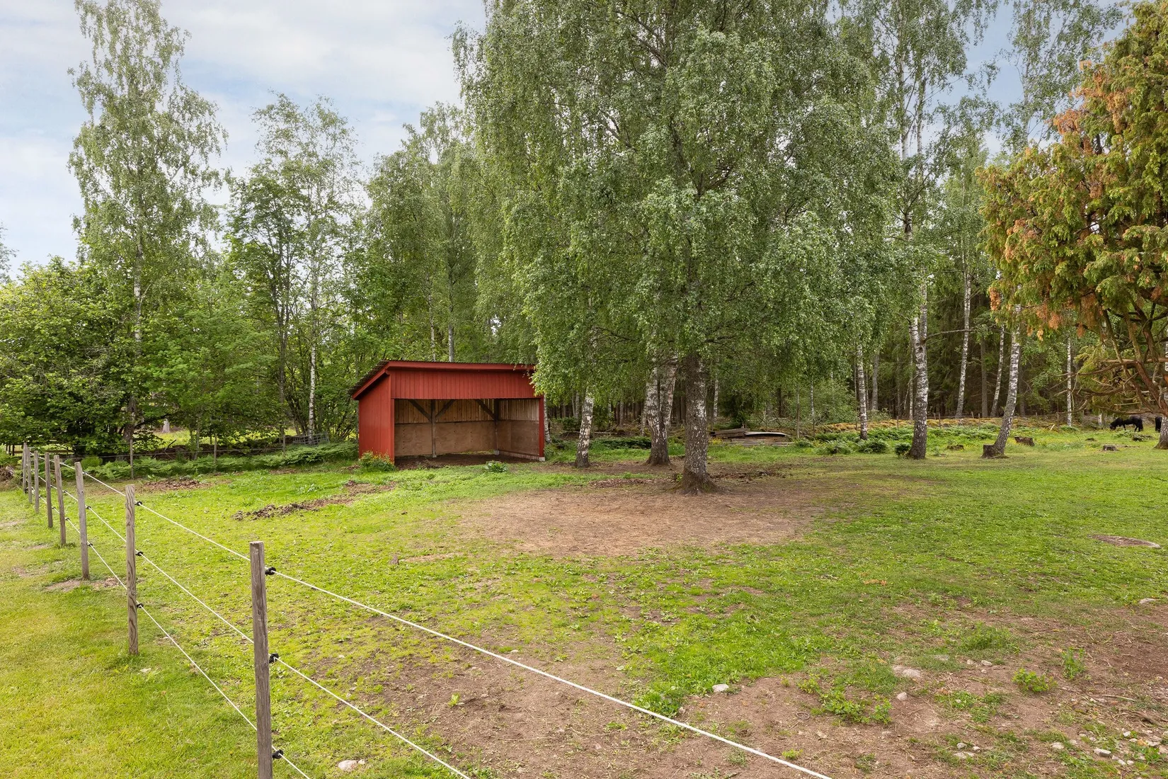 Gård/Skog, Haddamåla 103, Emmaboda