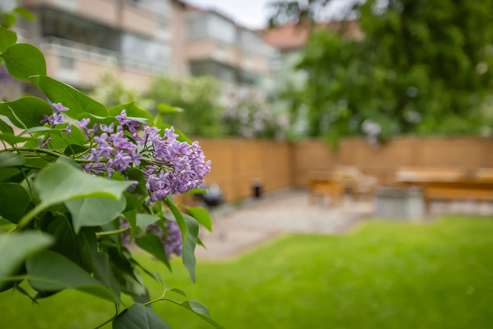 Bostadsrätt, Bryggargatan 45 B Lgh 1002, Teg, Umeå