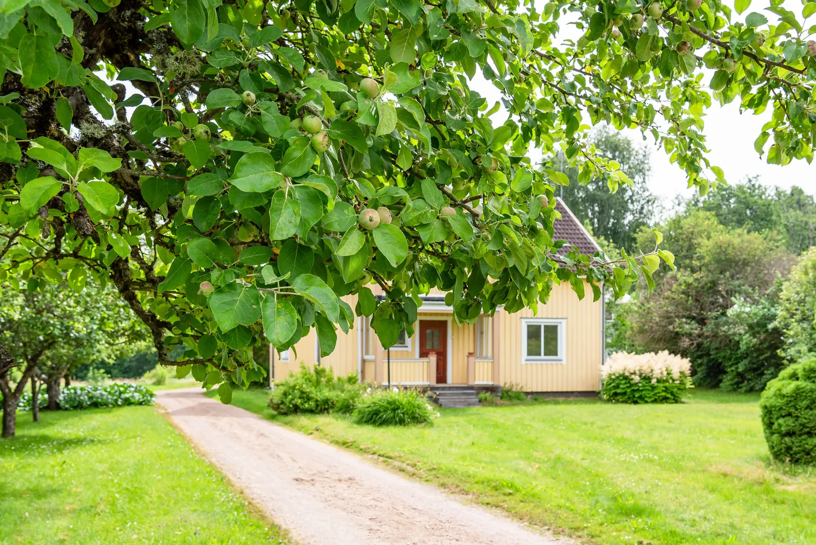 Villa, Bada 33, Bada/Rinn, Torsby