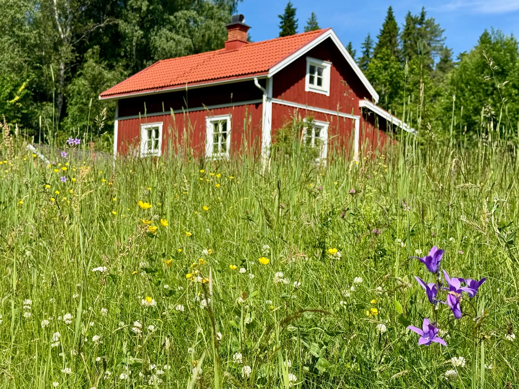 Gård/Skog, Sätergården 211, Sunne