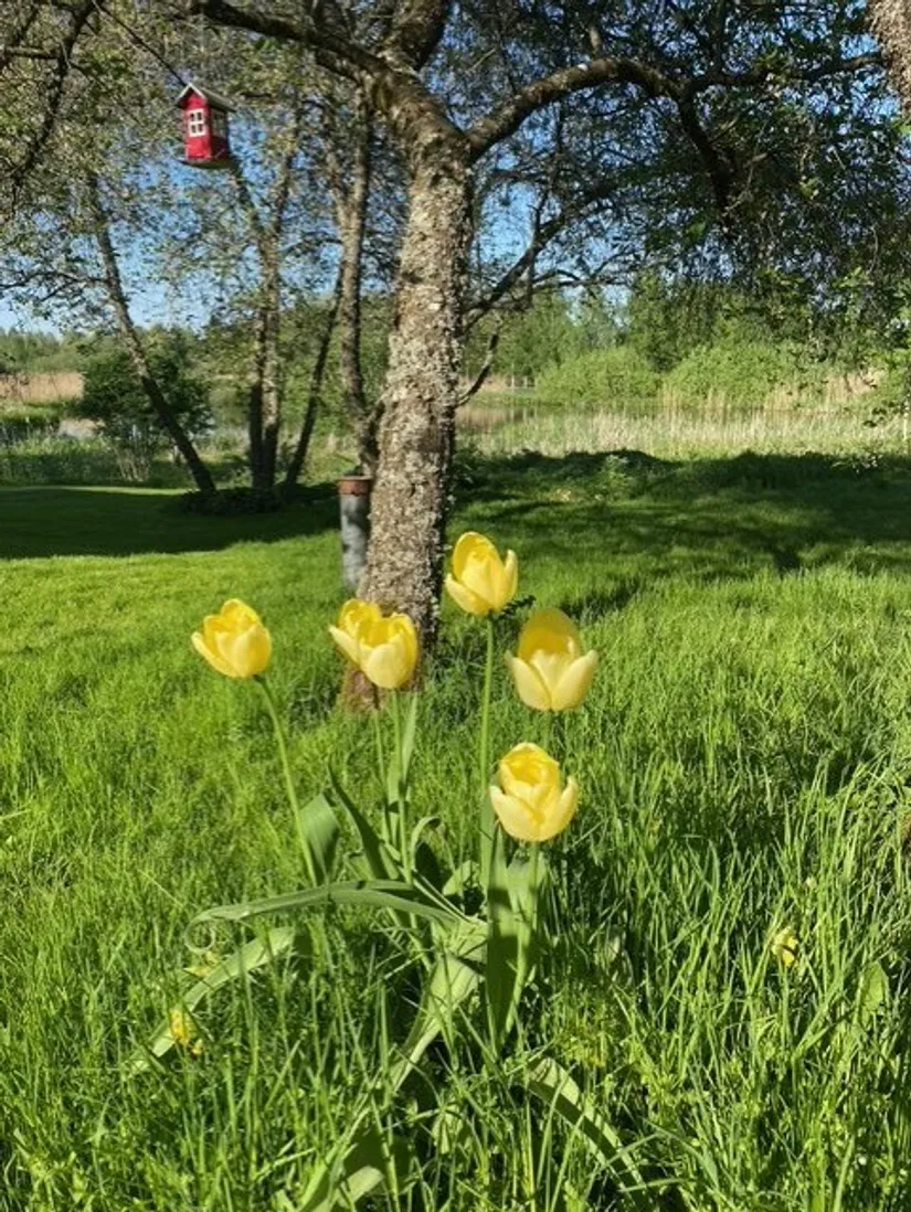 Fritidshus, Segersjö 633, Segersjö, Örebro