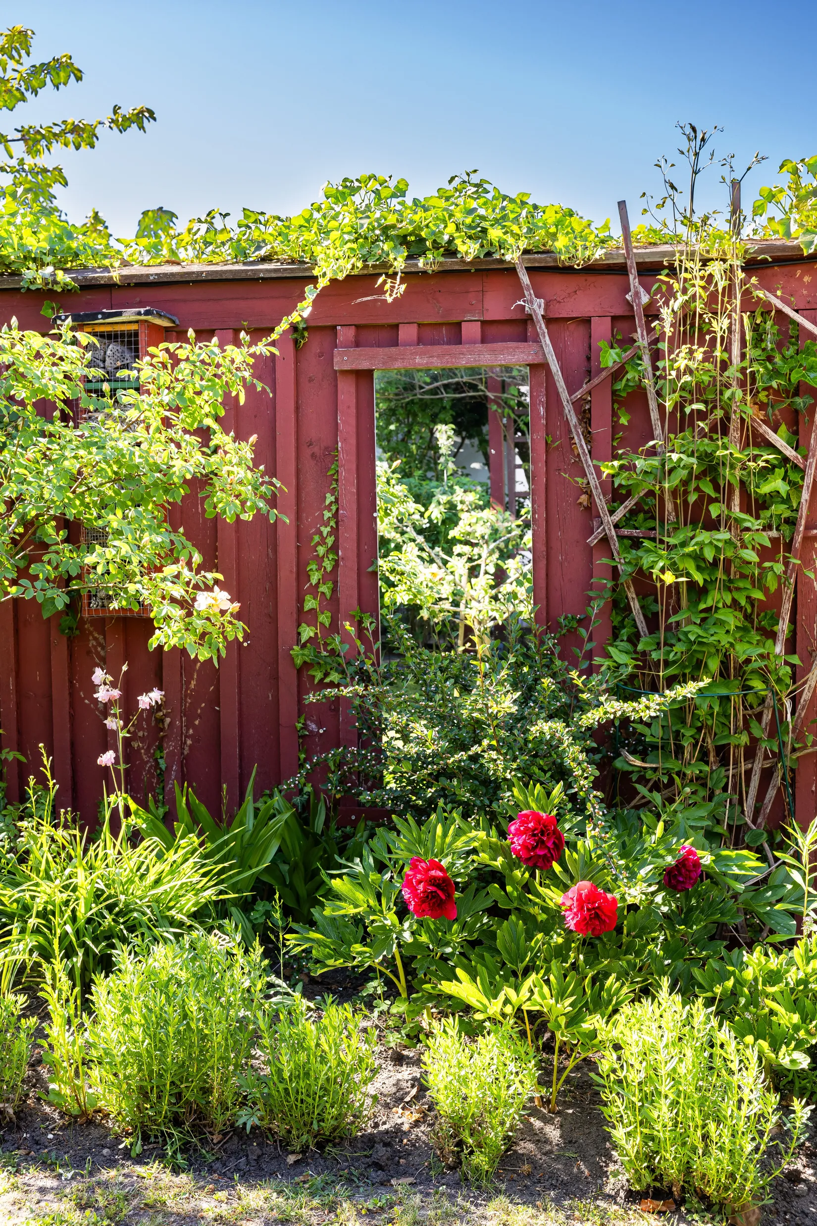 Villa, Radhus, Östergatan 25, Gamla stan, Simrishamn