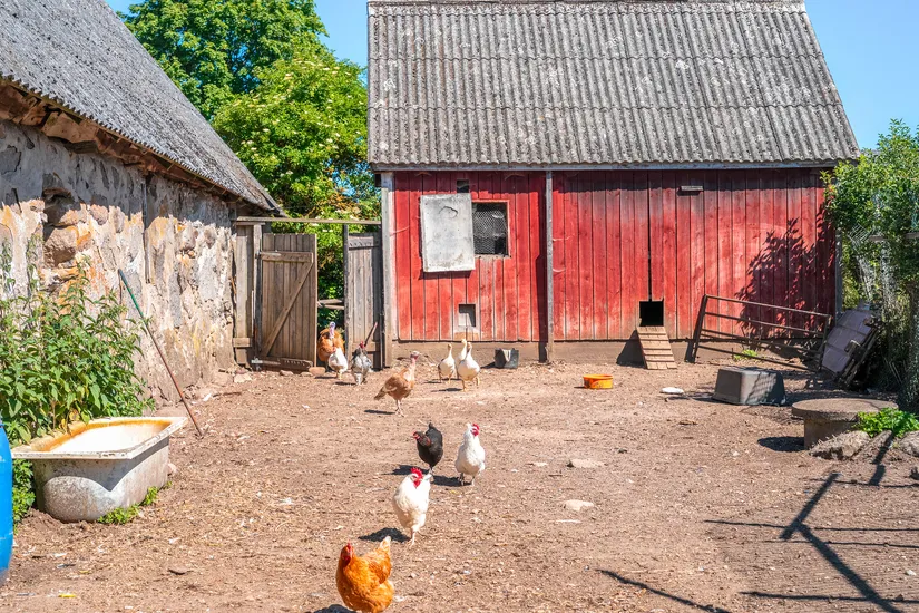 Gård/Skog, Oppmannavägen 437, Oppmanna, Kristianstad