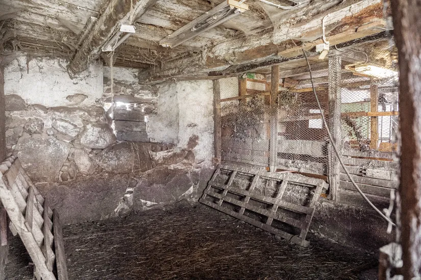 Gård/Skog, Oppmannavägen 437, Oppmanna, Kristianstad