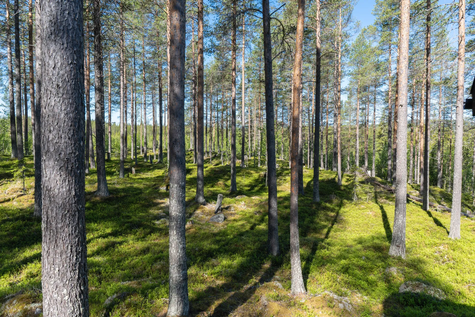 Fritidshus, Svartåsvallen 917, Härjedalen