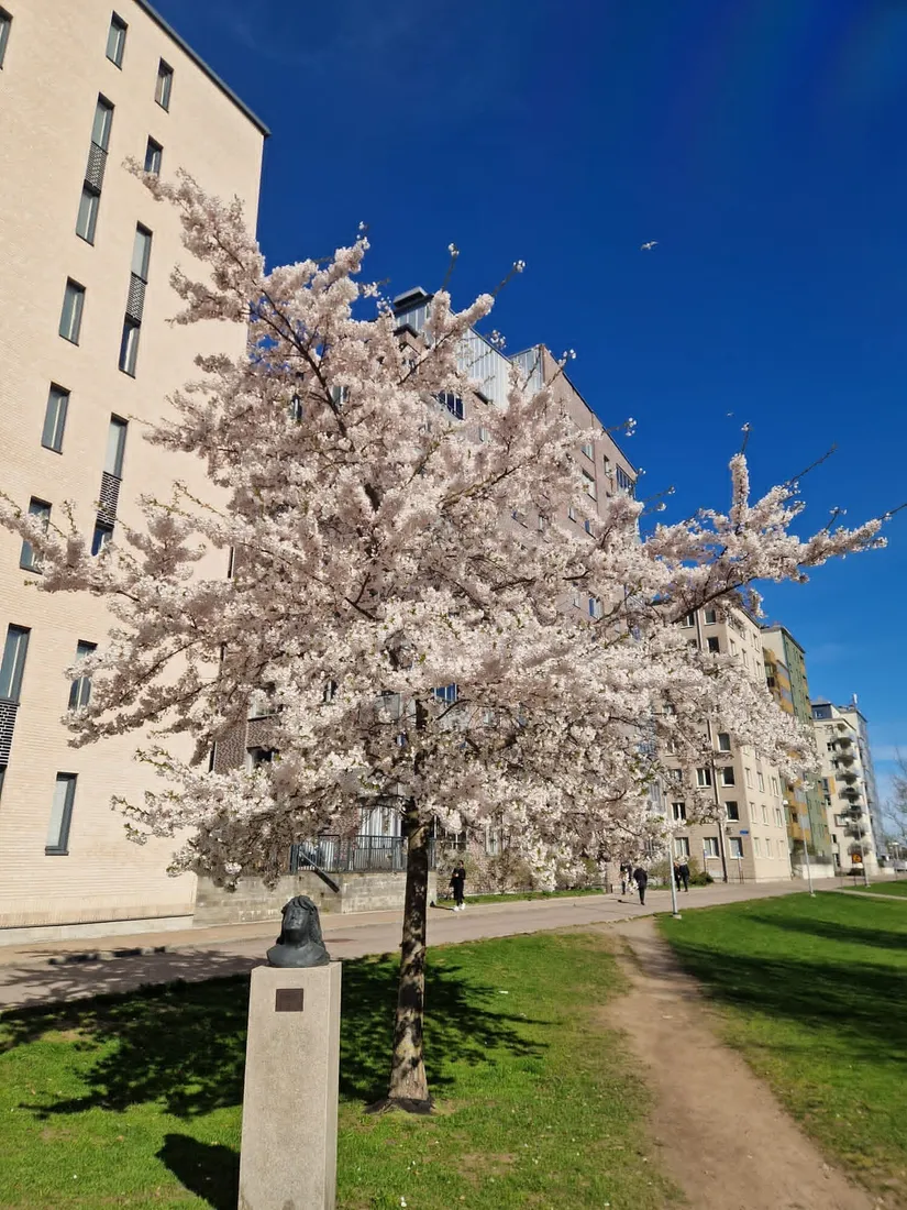 Bostadsrätt, Långängen 1A , Kvillebäcken , Göteborg