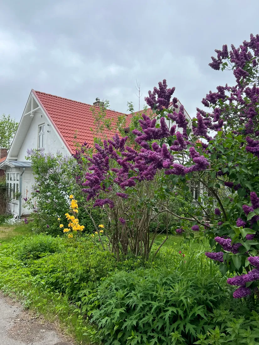 Villa, Starby landsväg 351, Starby, Ängelholm