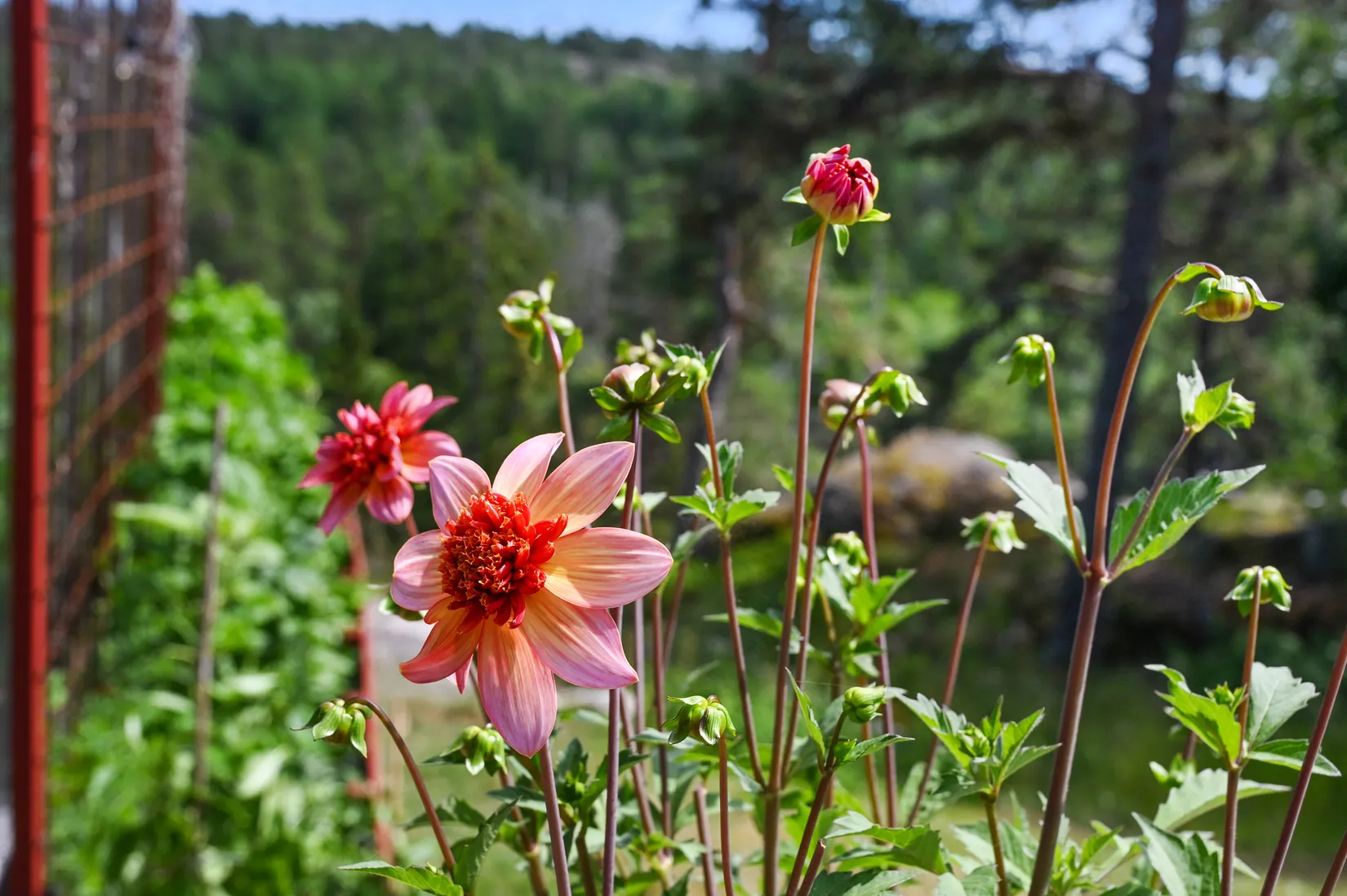 Villa, Kråkvägen 15, Trinntorp, Tyresö