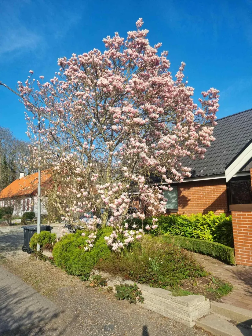 Villa, Ottos väg 6-0, Trelleborg