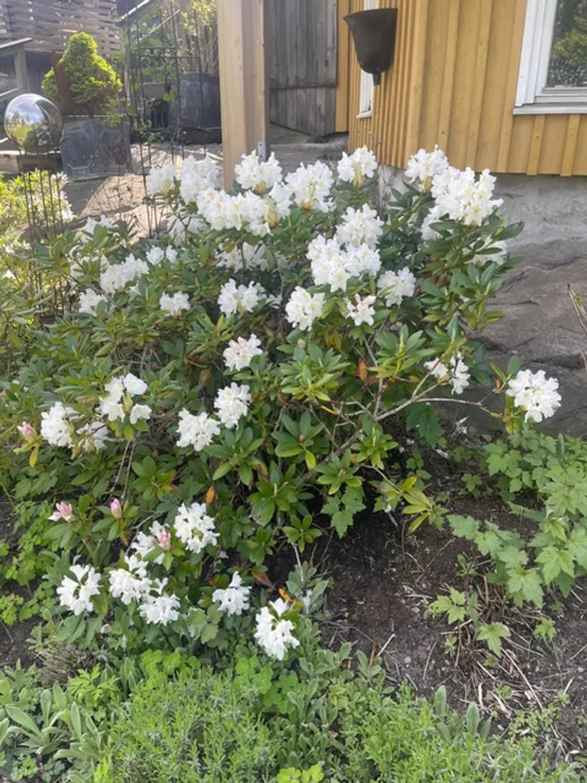 Fritidshus, Vivesta BRASSTORP 2, Oxelösund