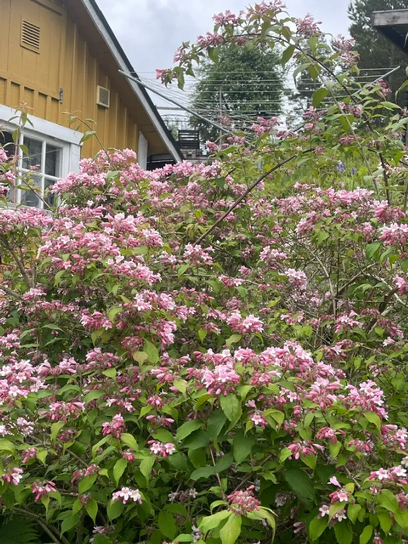 Fritidshus, Vivesta BRASSTORP 2, Oxelösund