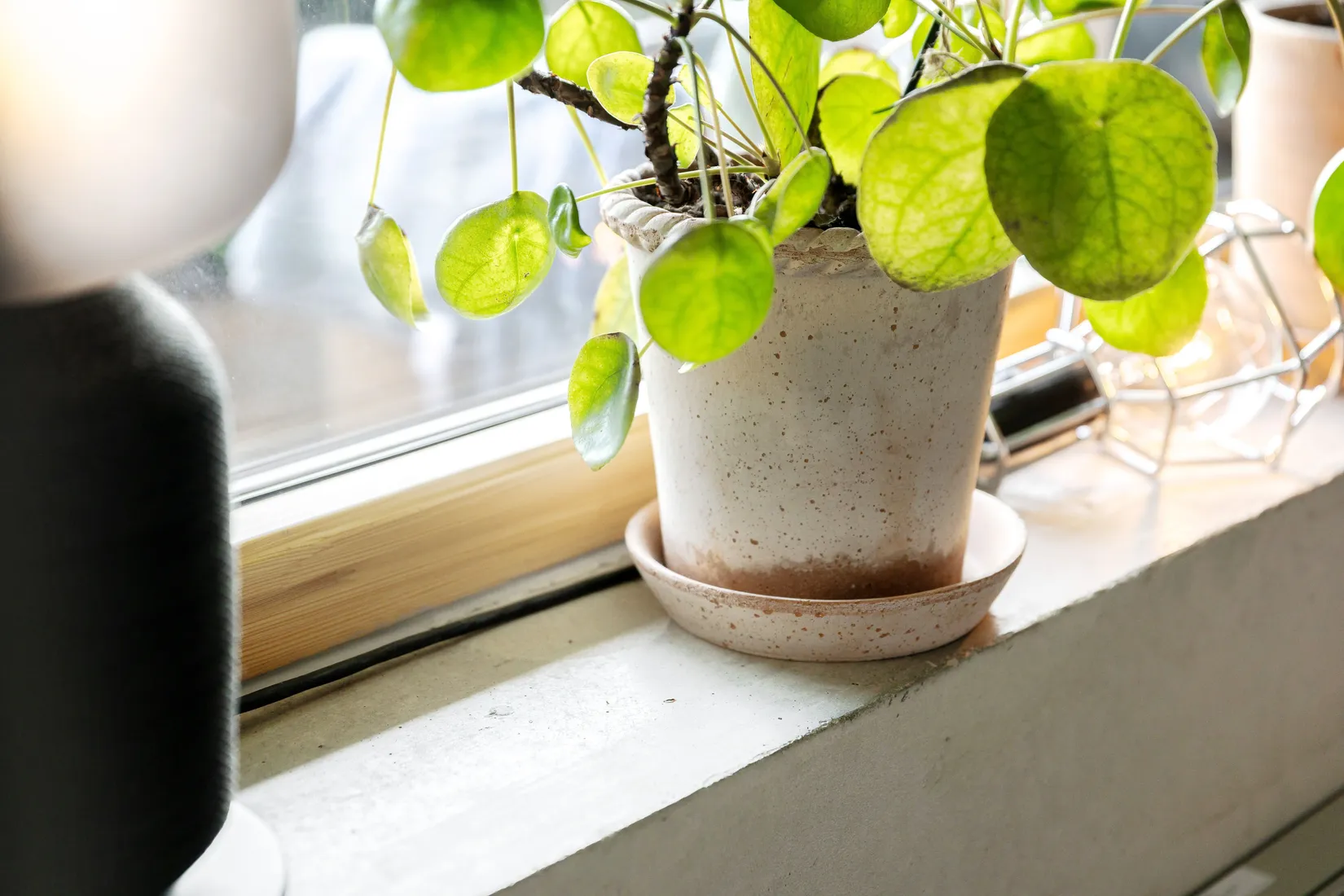 Bostadsrätt, Lärdomsgatan 12, Vallastaden, Linköping