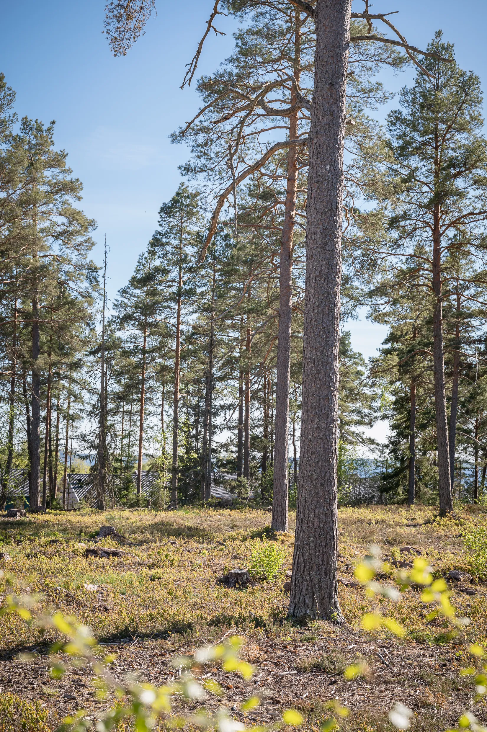 Tomt, Enebovägen 24A, Alster, Karlstad