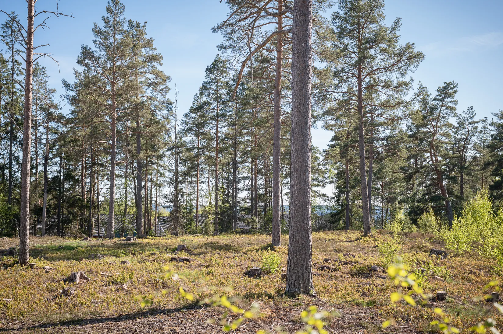 Tomt, Enebovägen 24A, Alster, Karlstad