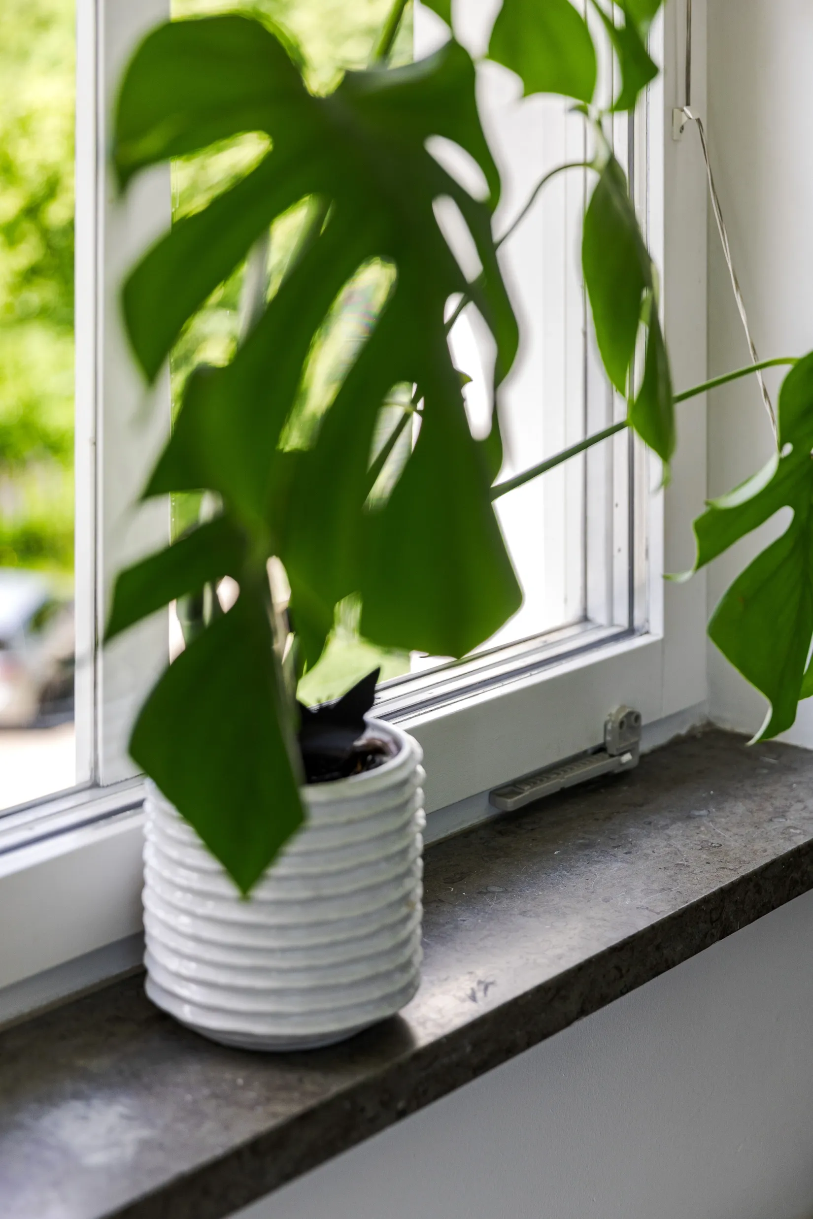 Bostadsrätt, Dalbogatan 21C, Norrby, Borås
