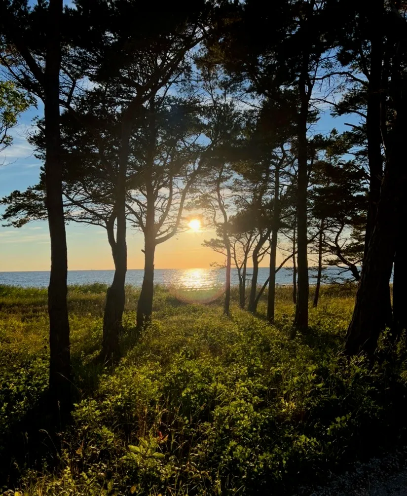 Bostadsrätt, Fälting Lottes Väg 1A, Gnisvärd, Gotland