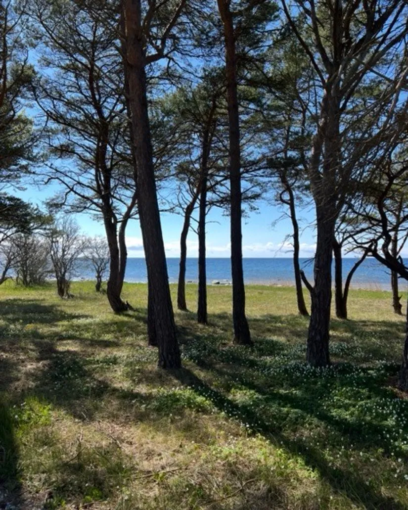 Bostadsrätt, Fälting Lottes Väg 1A, Gnisvärd, Gotland